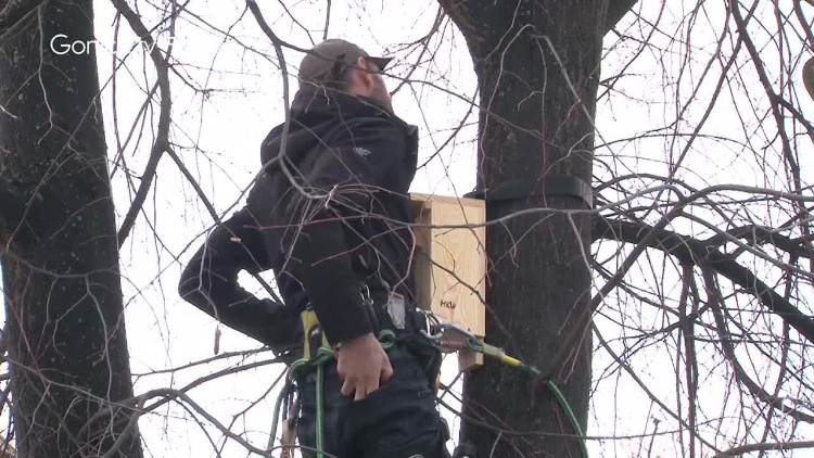 Seniorzy przygotowywali budki legowe dla ptaków