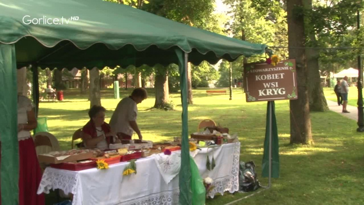 Piknik &quot;Wysowa-Zdrój pachnąca ziołami&quot;