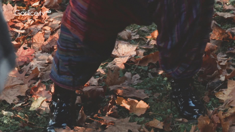 Zatańcz z nami – międzypokoleniowe spotkania przy muzyce