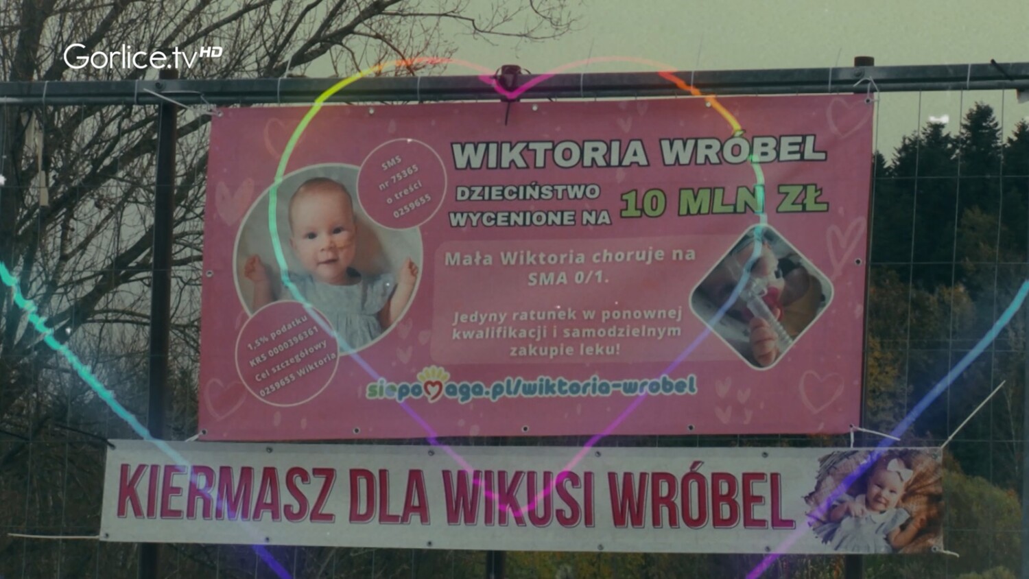 Pchli Targ na rzecz chorej Wiktorii Wróbel