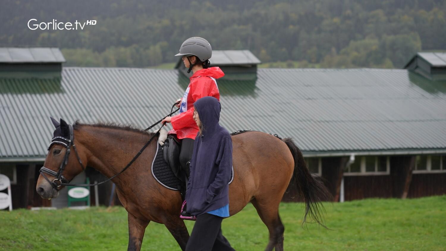 Wyszehradzki Czempionat Koni Rasy Huculskiej 2024