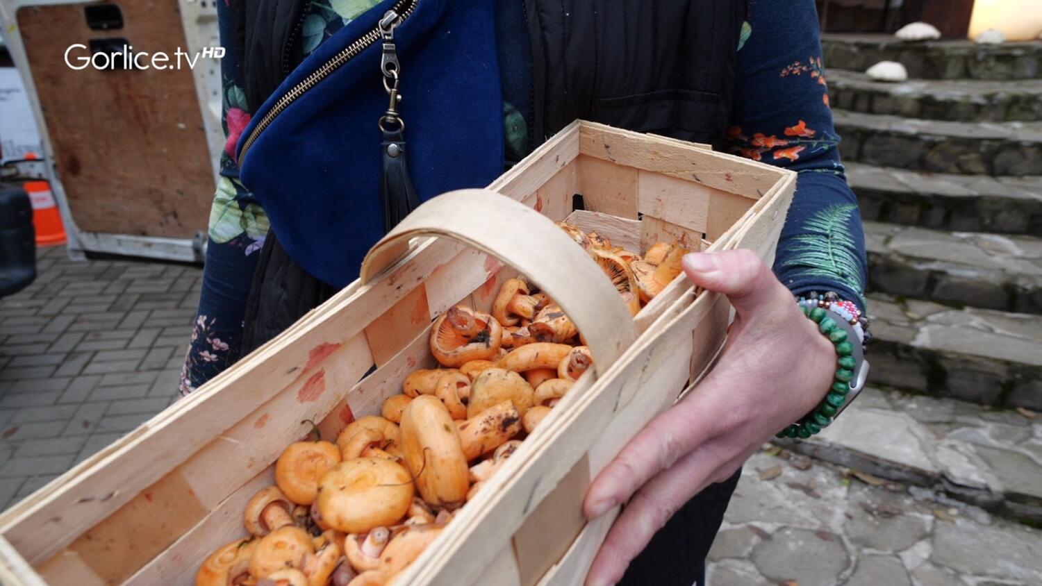 Święto Rydza 2024 w Wysowej-Zdroju