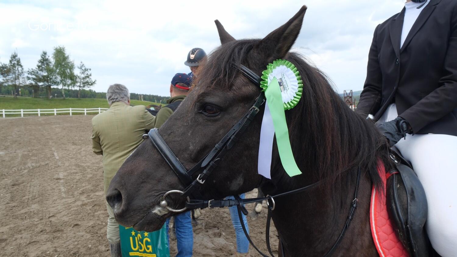 Majówka w Regietowie 2025