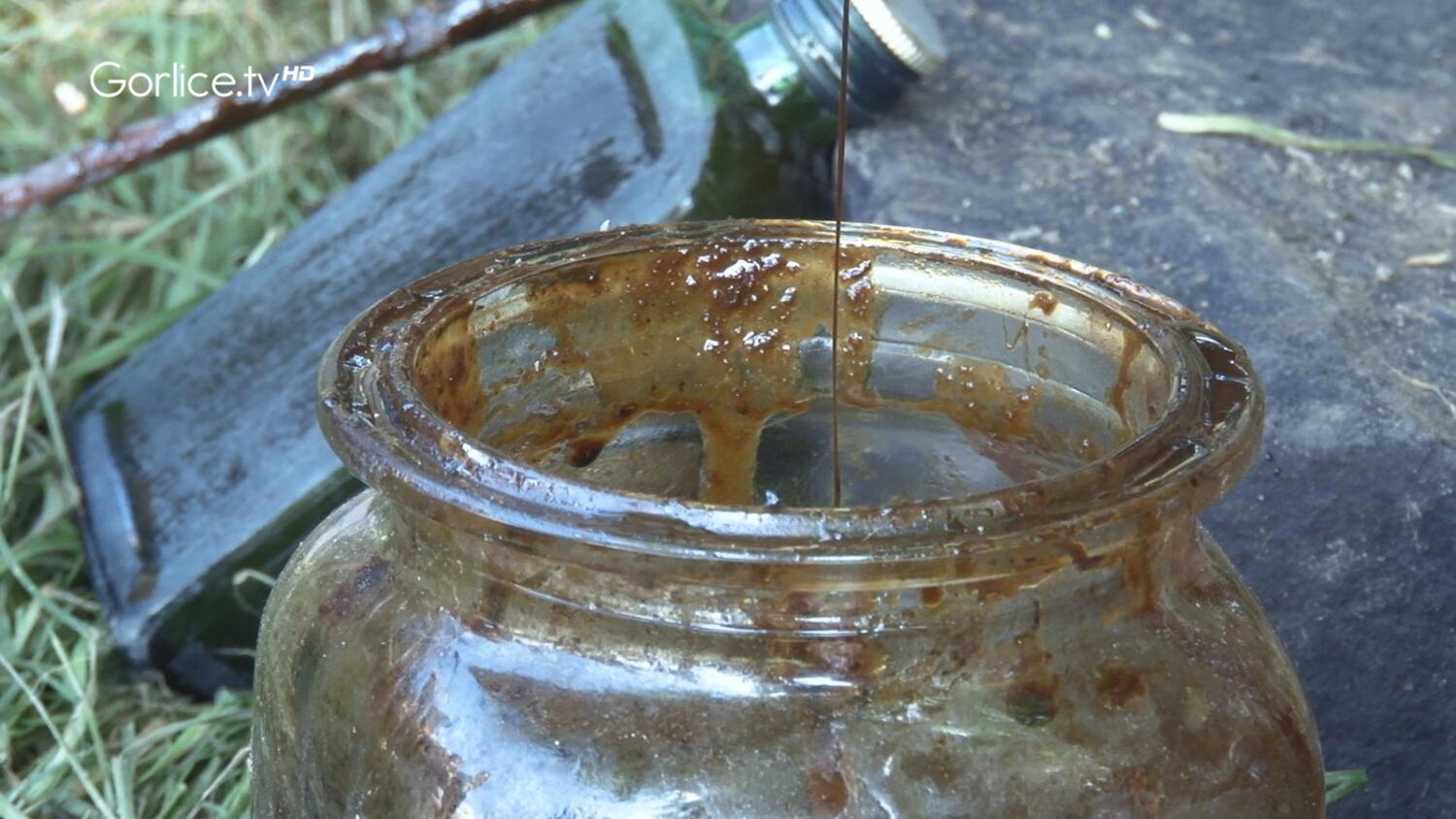 Święto Maziarzy Łosiańskich 2025