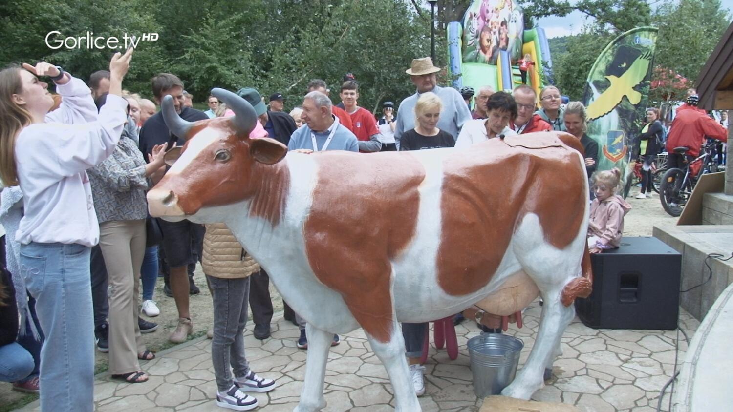 Ogólnopolskie Mistrzostwa w Dojeniu Sztucznej Krowy Osób z Niepełnosprawnością