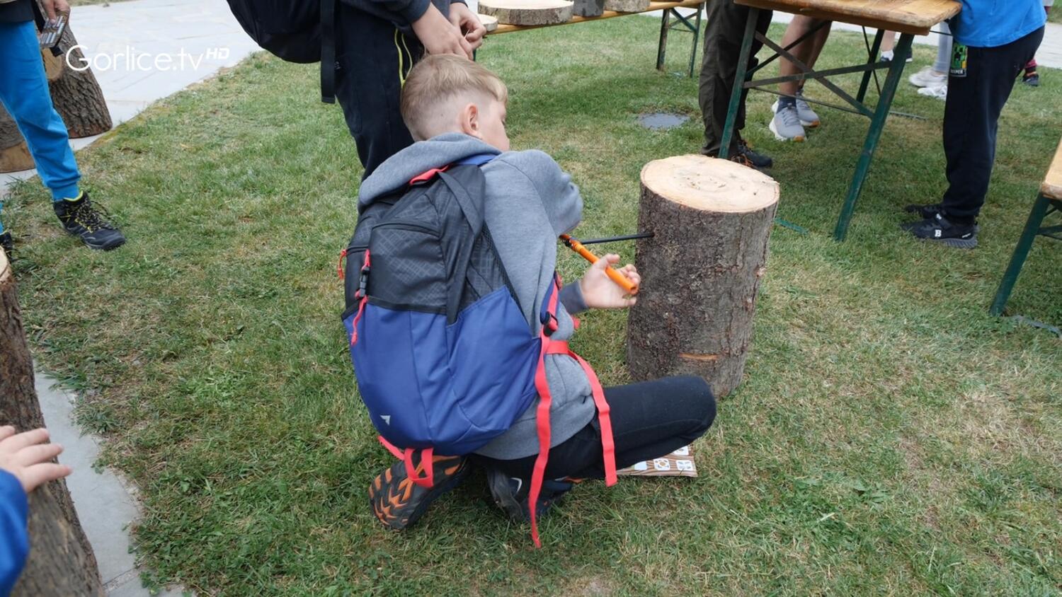 Leśna Przygoda w Ośrodku Edukacji Leśnej „Ekopark Radocyna”
