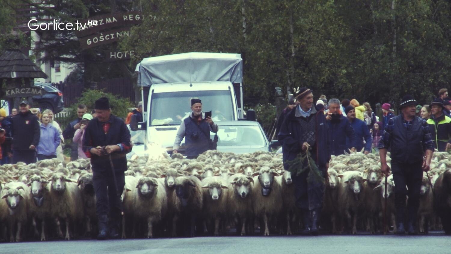 Redyk przeszedł przez Beskid Niski