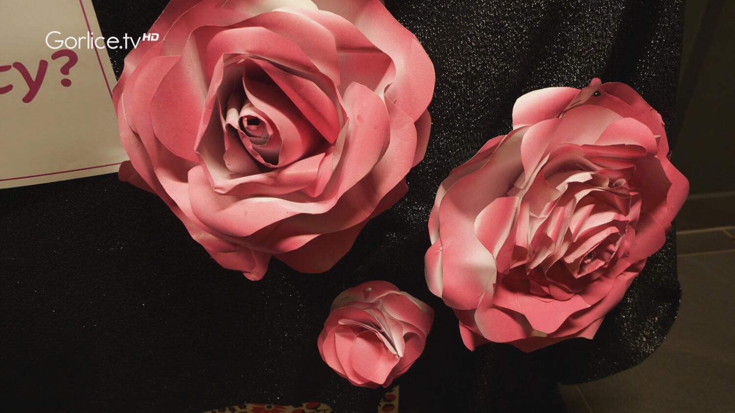 W Gorlicach odbyła się konferencja „Bądź świadoma – badaj się”