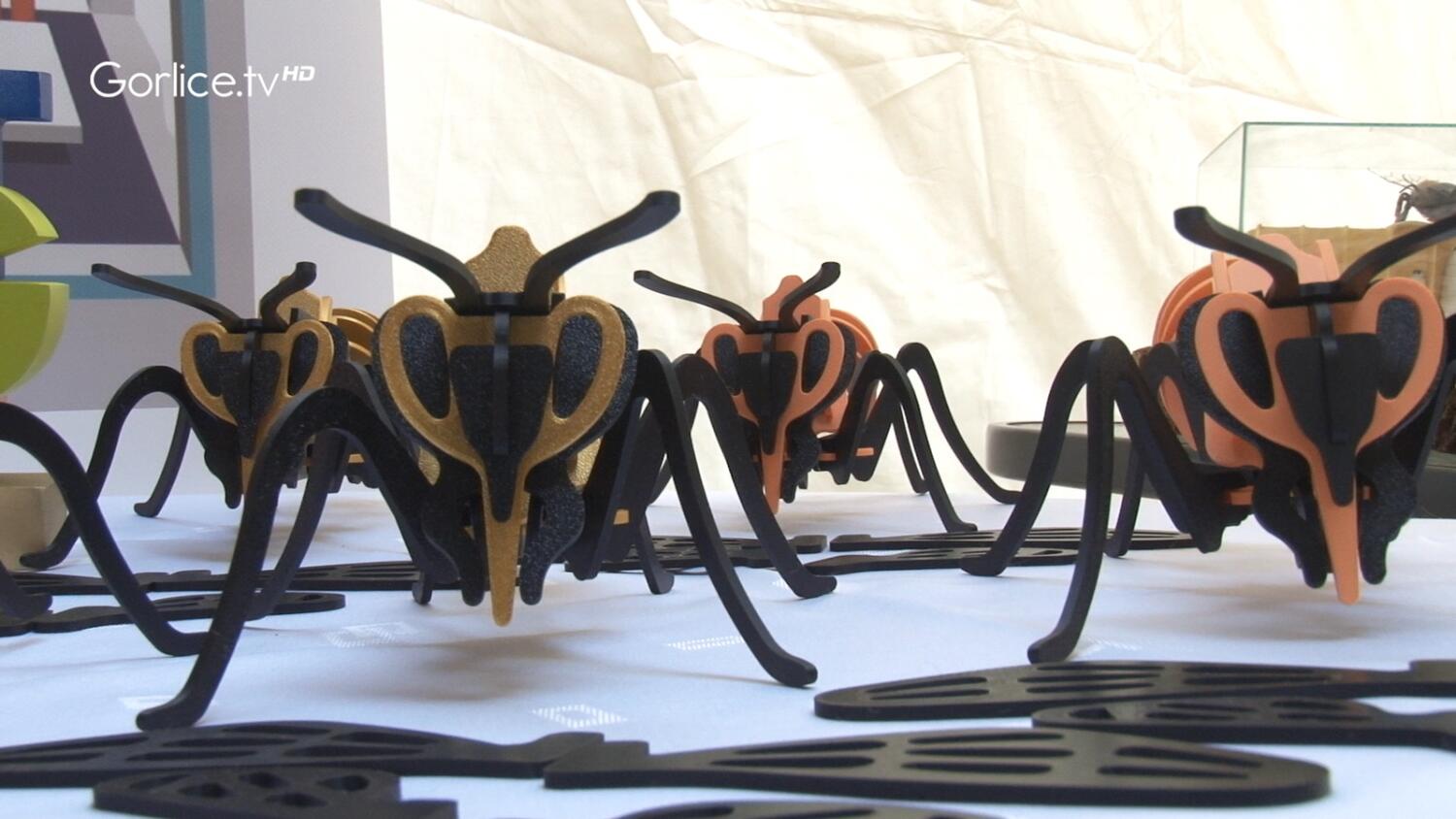 Podsumowanie projektu "Misja Pszczoła"