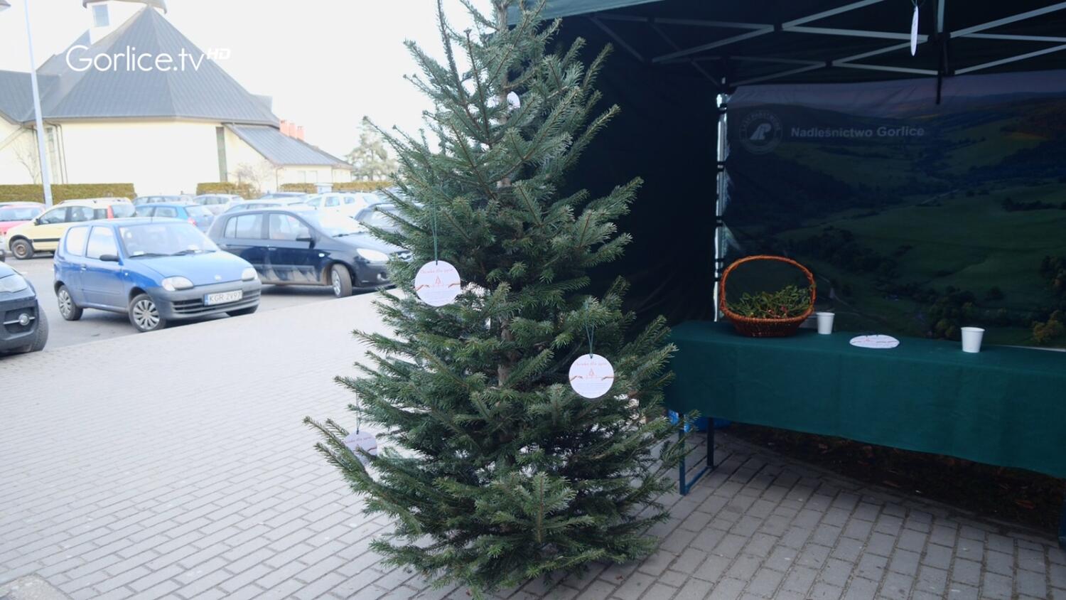 Razem z leśnikami w ramach akcji „Choinka dla życia” pozyskano prawie 23 litrów krwi